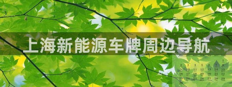 新宝gg首页
