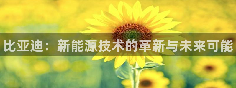 新宝gg如何