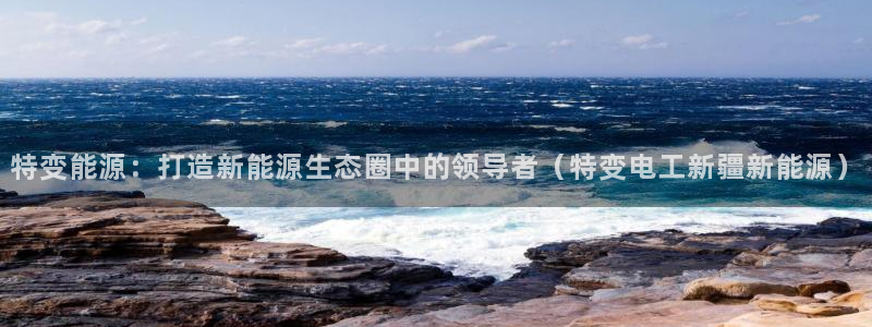新宝 gg .com