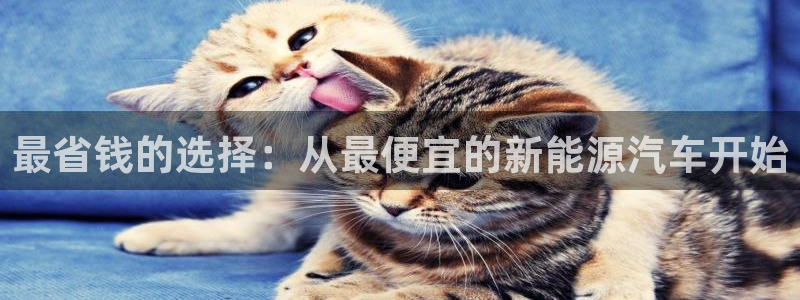 新宝GG娱