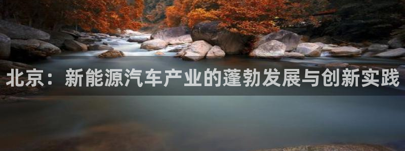 新宝gg主管开