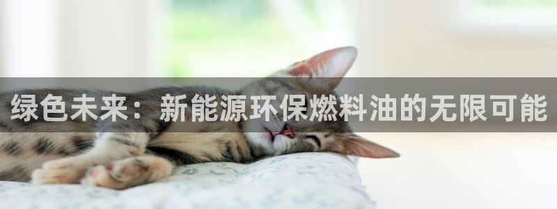新宝gg代理条件