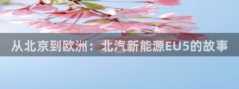 新宝gg资料