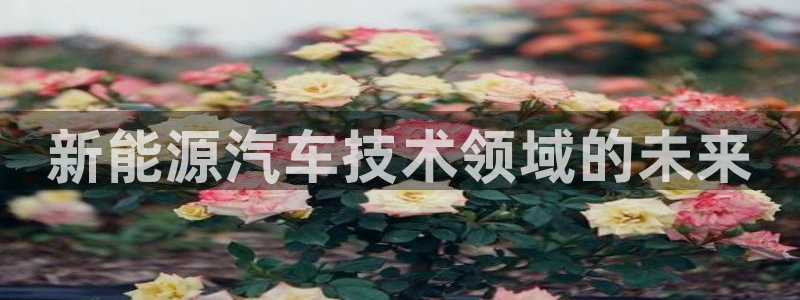 新宝gg如何赚钱