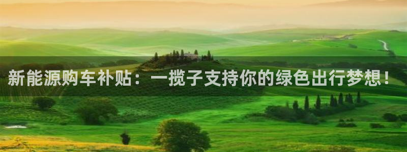 新宝GG电话