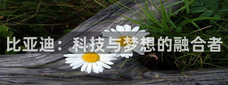 新宝gg 开户