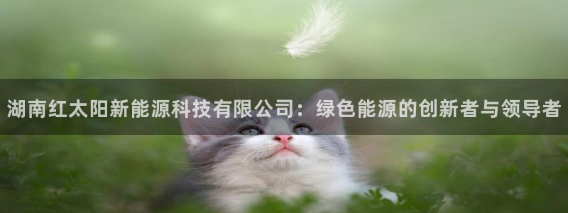 新宝gg官方