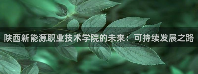 新宝gg登陆