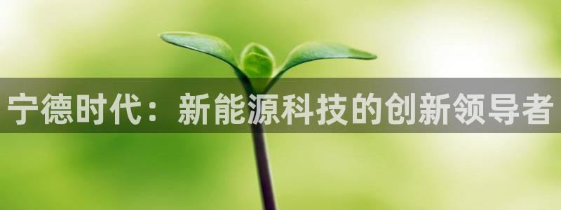 新宝gg开户