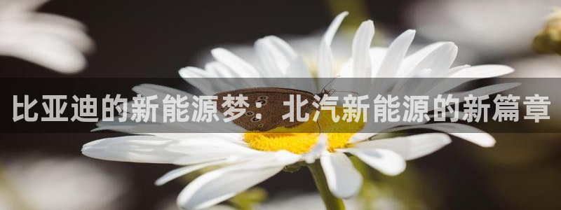 新宝GG主管41333