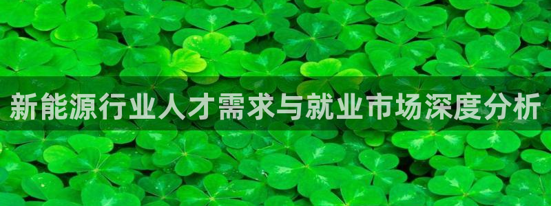 新宝gg—创造