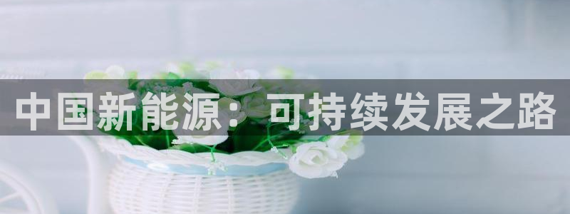 新宝gg助手