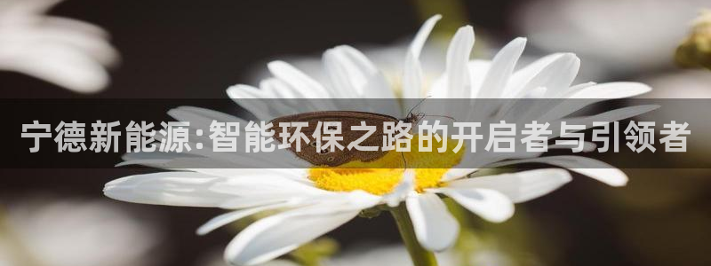 新宝gg q