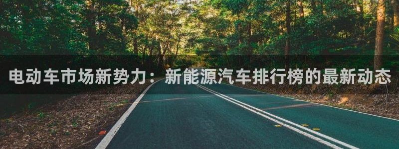 新宝gg什么：电动车市场新势力：新能源汽