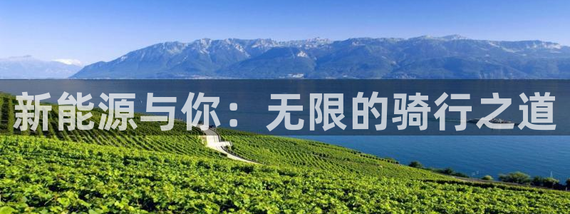 新宝gg如何登录：新能源与你：无限的骑行