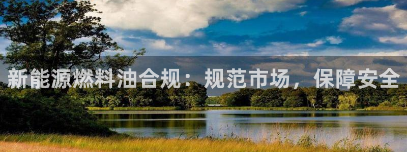 新宝gg作弊：新能源燃料油合规：规范市场