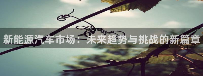 新宝gg好吗