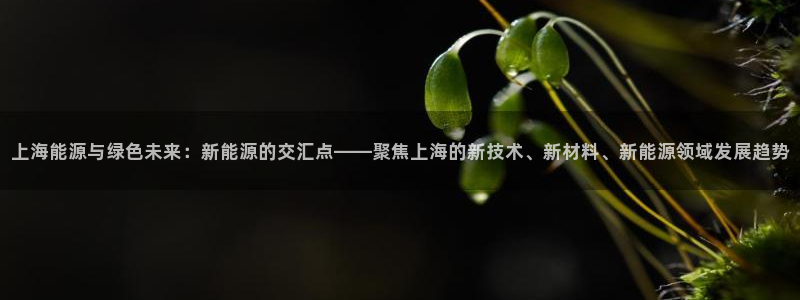 新宝gg信息