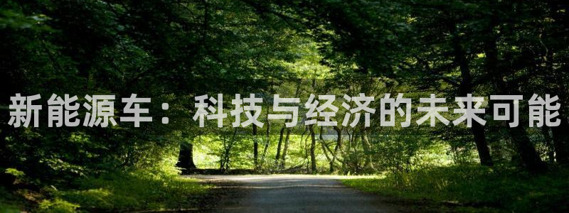 新宝gg   创造：新能源车：科技与经济