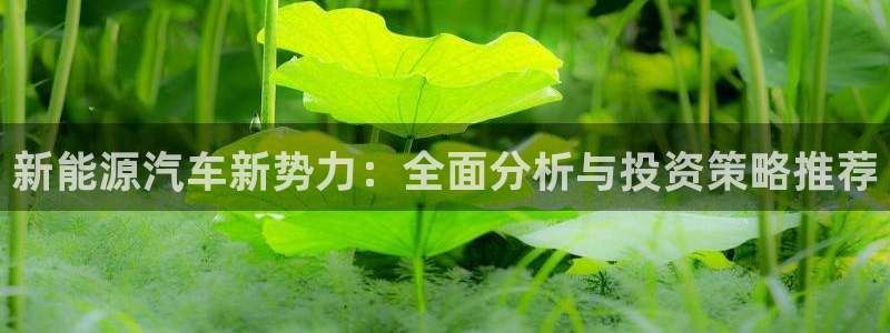 新宝GG询问29999：新能源汽车新势力