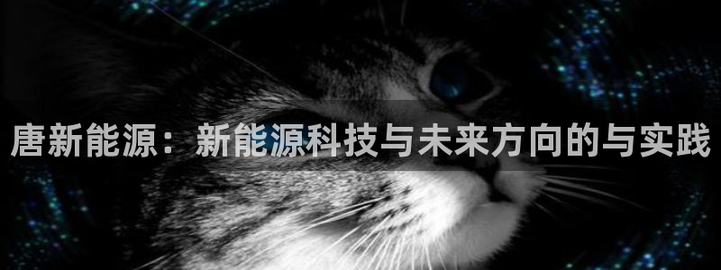 新宝gg软件