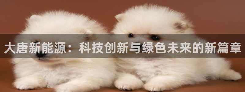 新宝gg玩法：大唐新能源：科技创新与绿色