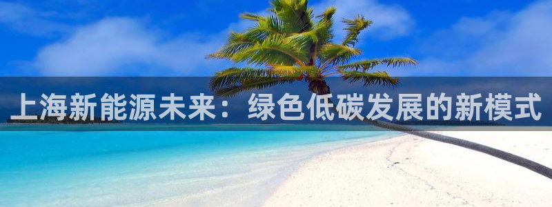 新宝gg注册jhjinde：上海新能源未