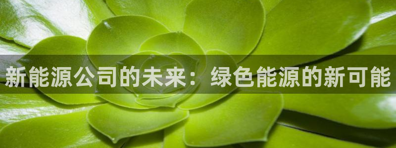 新宝gg代理：新能源公司的未来：绿色能源