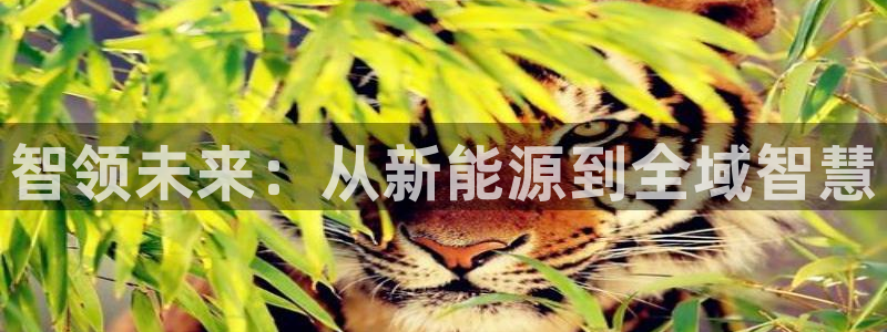 新宝gg返点