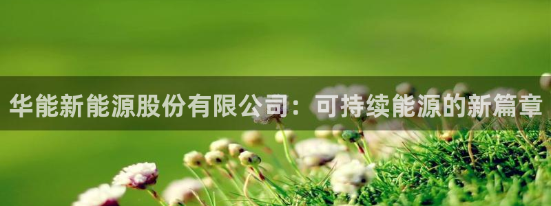 新宝奇迹GG5：华能新能源股份有限公司：