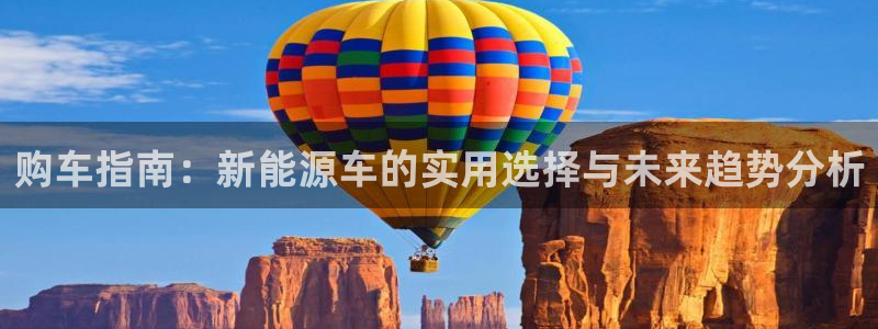 新宝gg注册登录网址：购车指南：新能源车
