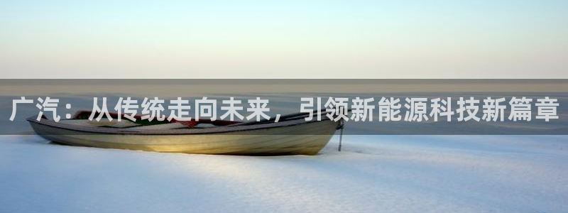 下载新宝gg：广汽：从传统走向未来，引领