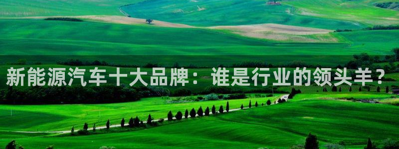 分分新宝gg：新能源汽车十大品牌：谁是行