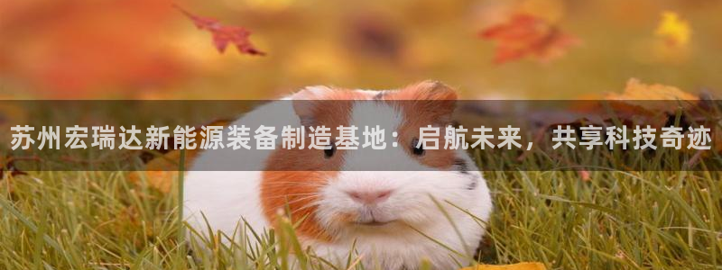 新宝新宝gg开户流程
