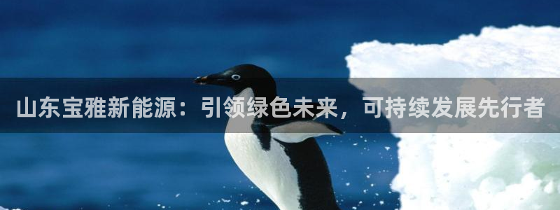 新宝gg创造奇迹平台