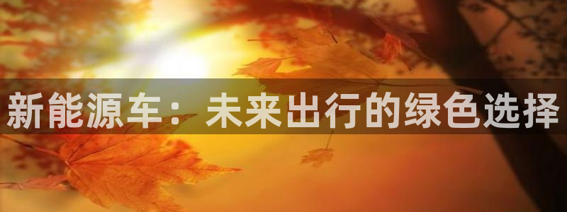 新宝GG娱:新能源车:未来出行的绿色选择