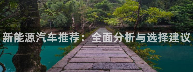 新宝GG耳78778:新能源汽车推荐:全面分析与选择建议