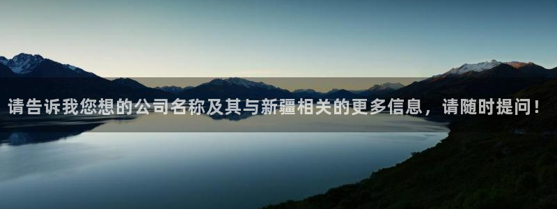 新宝gg找回账号:请告诉我您想的公司名称及其与新疆相关的更多