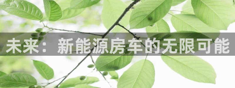 新宝gg注册平台:未来:新能源房车的无限可能