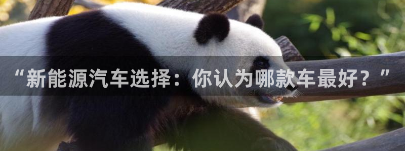 新宝gg平:“新能源汽车选择:你认为哪款车最好?”