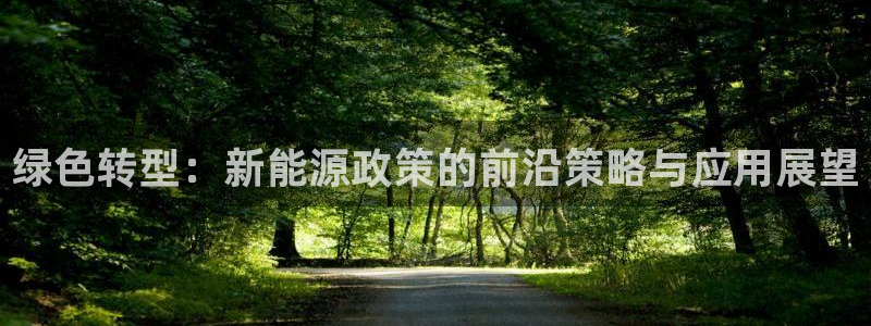 新宝哥gg