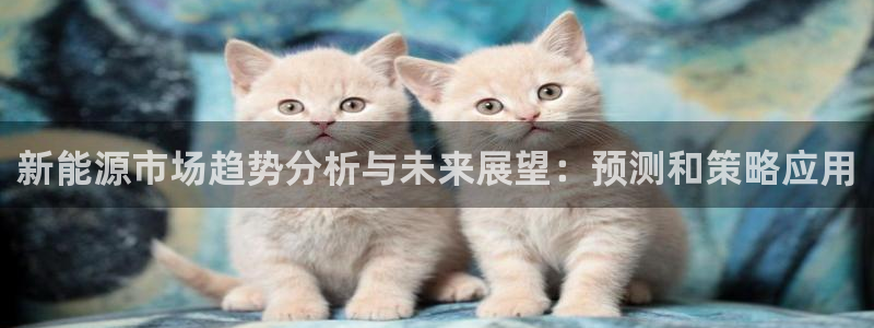 新宝gg 奇迹