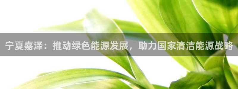 新宝gg待遇