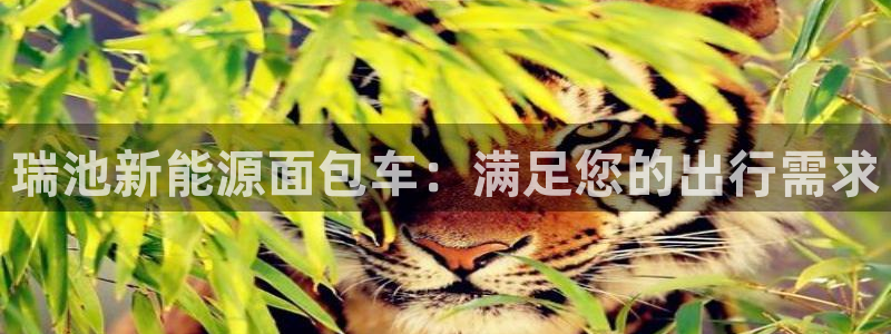 新宝GG冰冰