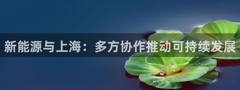 新宝gg挣钱:新能源与上海:多方协作推动可持续发展