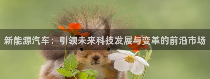 下载新宝gg怎么下载:新能源汽车:引领未来科技发展与变革的前