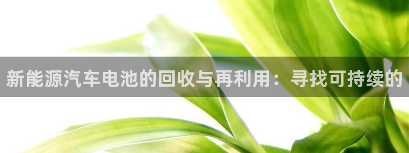 新宝太阳gg