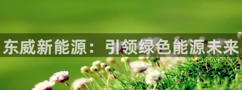 新宝gg官网:东威新能源:引领绿色能源未来
