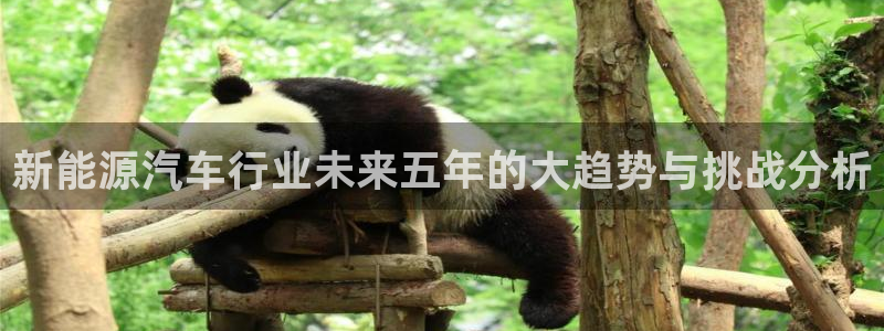 新宝gg怎么开户