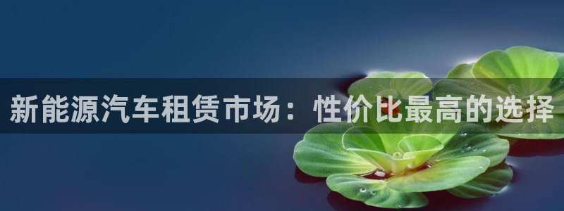 新宝gg创造奇迹下载:新能源汽车租赁市场:性价比最高的选择